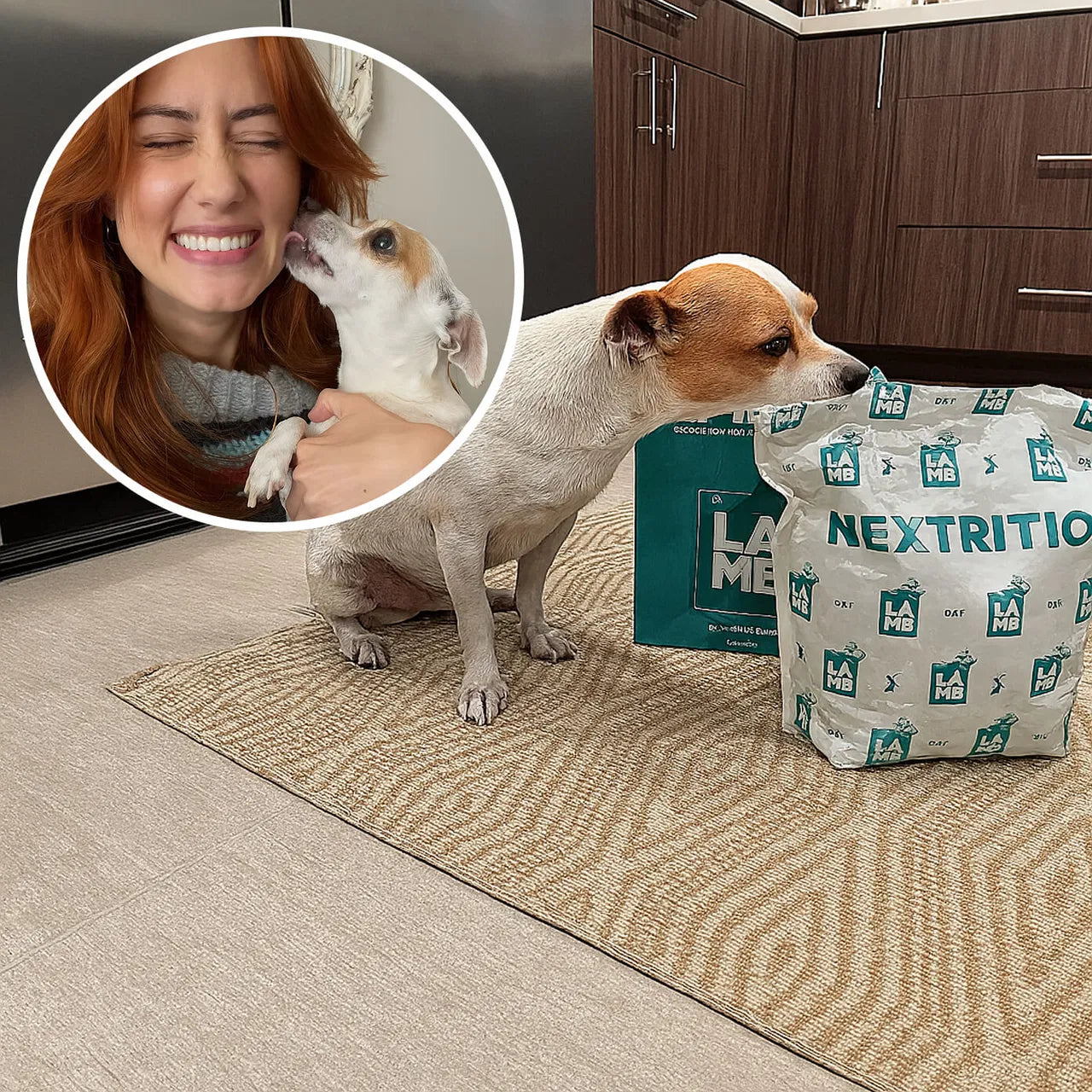 Happy dog with owner and product bag