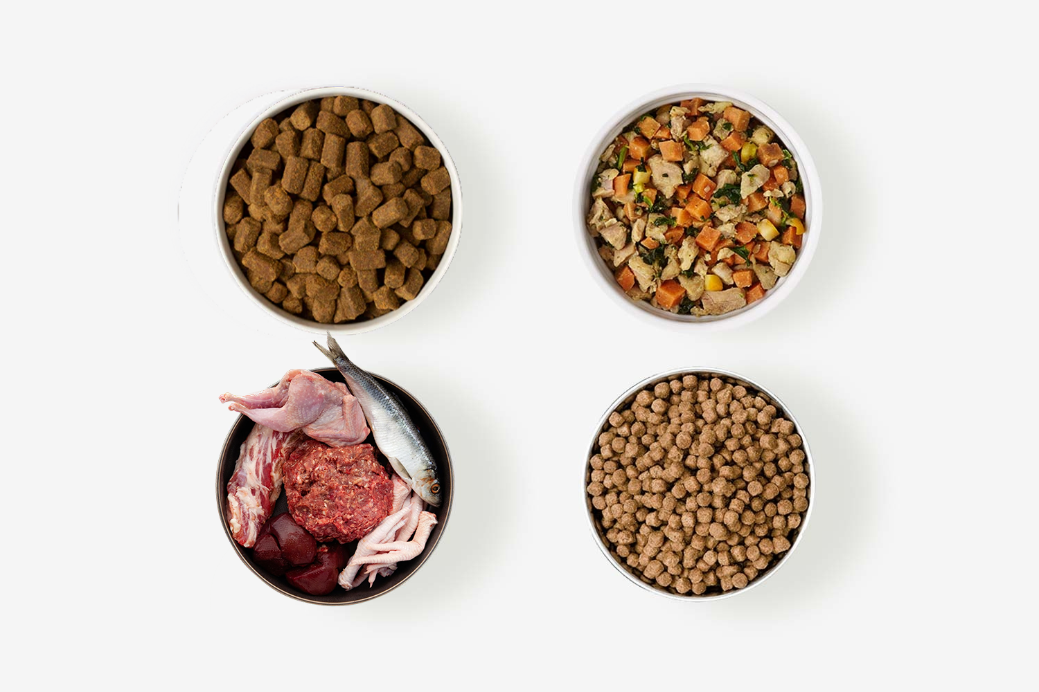 Raw, Kibble, Fresh, or Cold Pressed: What’s Best for Your Dog?