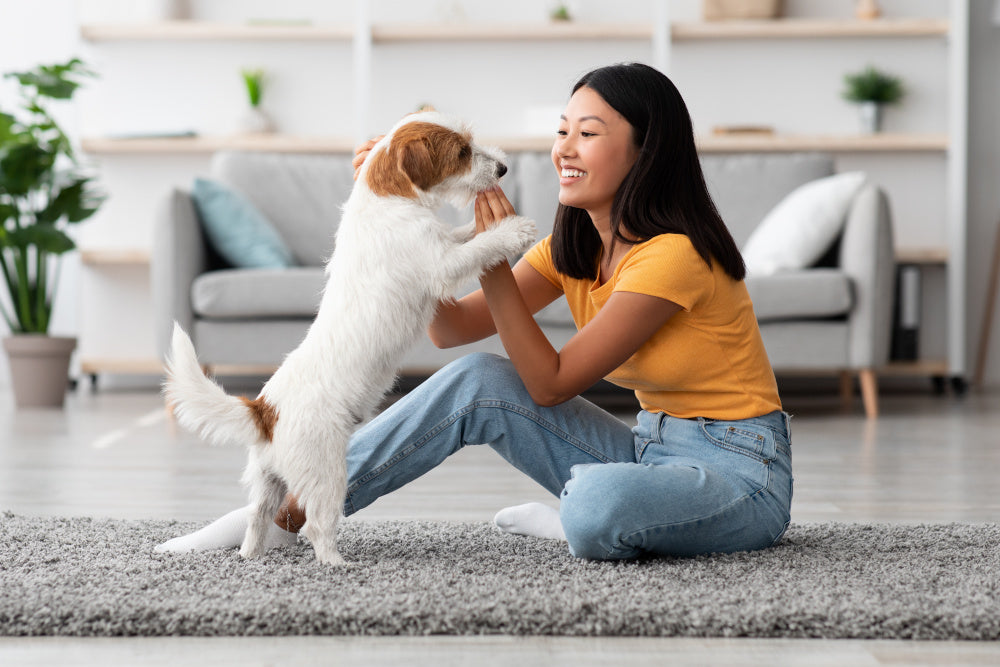 The Link Between Excess Weight, Long Life, and Dog Food