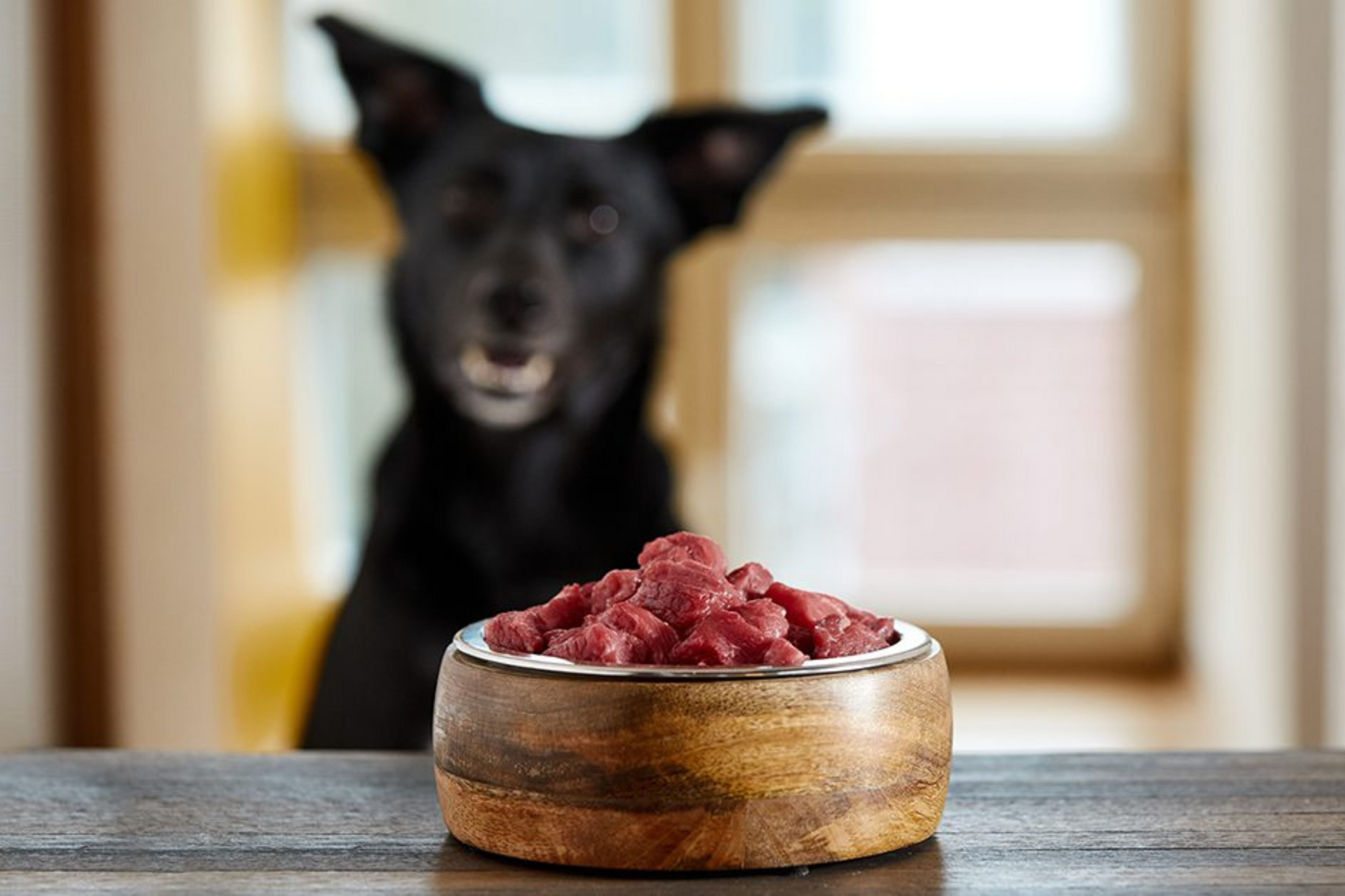 Is a Raw Diet Good for Dogs: A Comprehensive Analysis