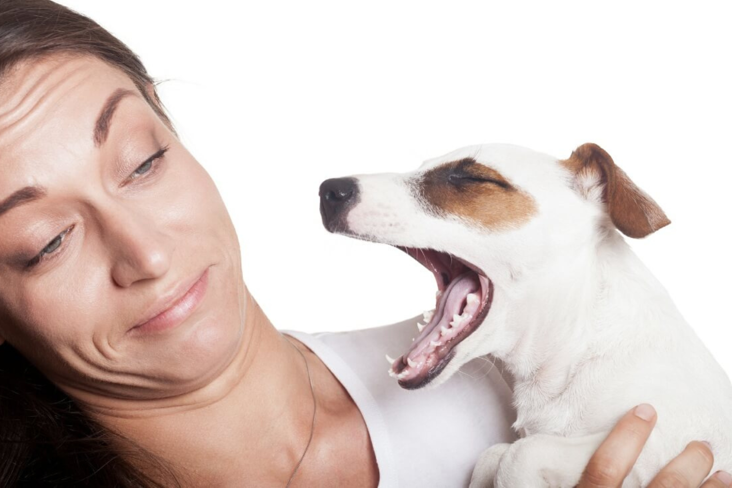 10 Reasons Why Your Dog’s Breath Smells So Bad