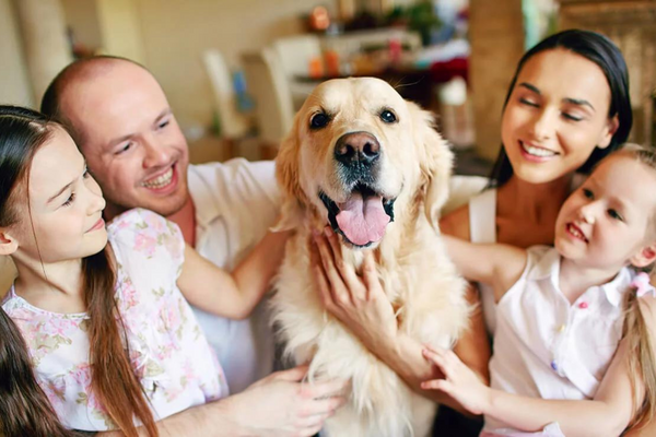 10 Ways to Care For Your Dog - Nextrition Pet