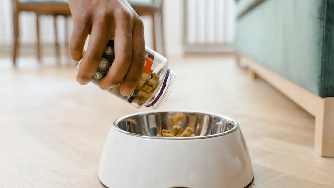 Hand pouring cold pressed dog food as a raw food topper into a white dog bowl