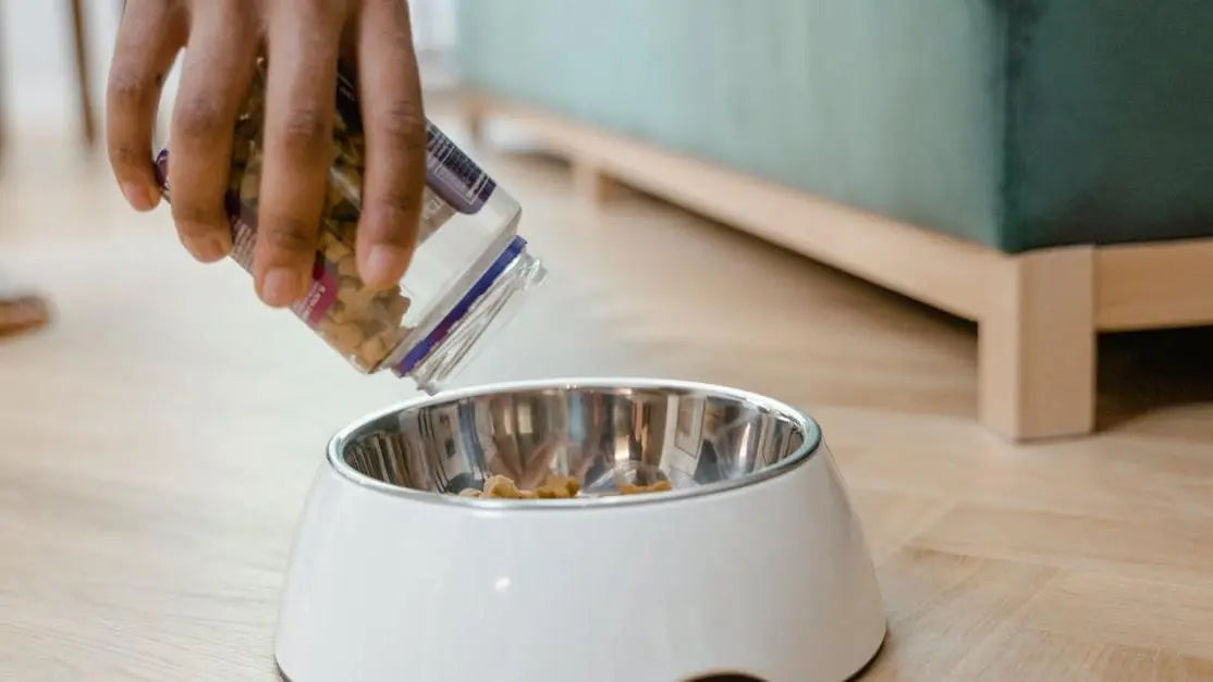 Person pours dog treats into a metal bowl for cold pressed vs air dried dog food