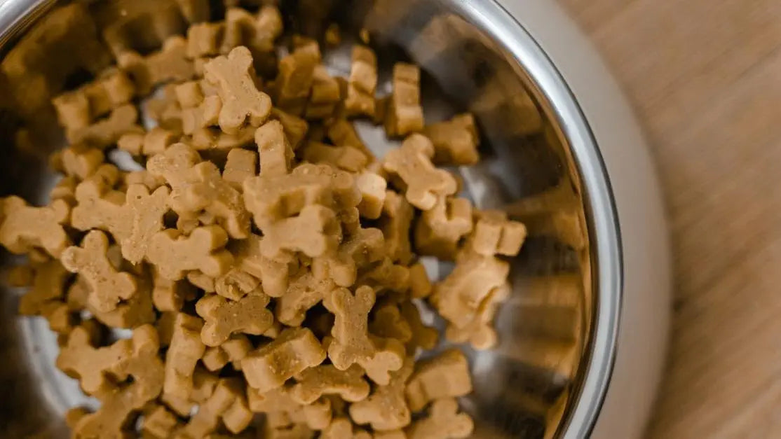 Bone-shaped dog food that firms up stools in a stainless steel bowl
