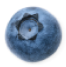 Nextrition Pet