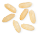 Nextrition Pet