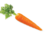 Nextrition Pet