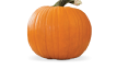 Nextrition Pet