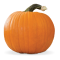 Nextrition Pet