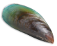 Nextrition Pet