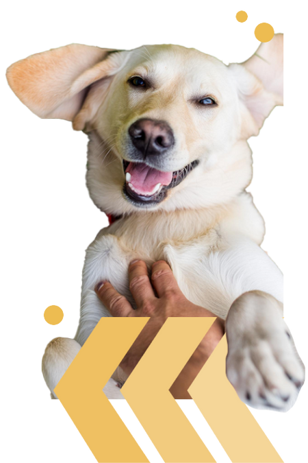 Nextrition Pet