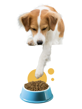 Nextrition Pet