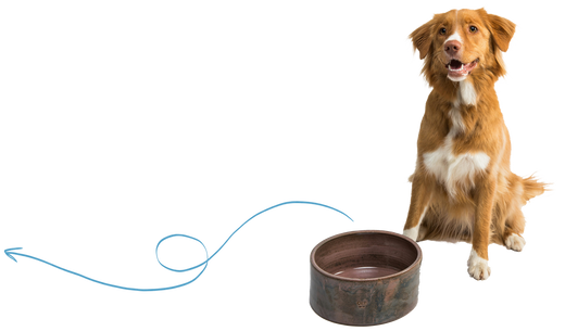 Nextrition Pet
