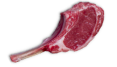 Nextrition Pet