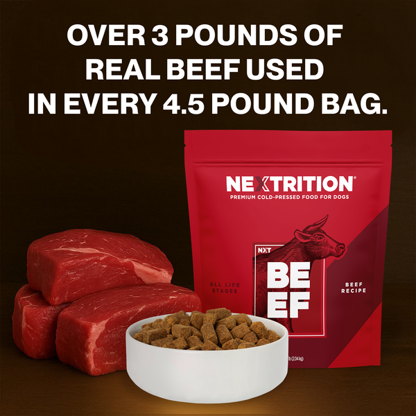 Nextrition pet - Enjoy 20% off any order of main food products.