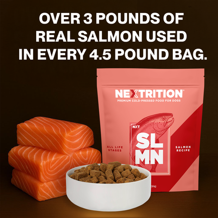 Salmon dog food | Healthy Skin & Shiny Coat | Nextrition