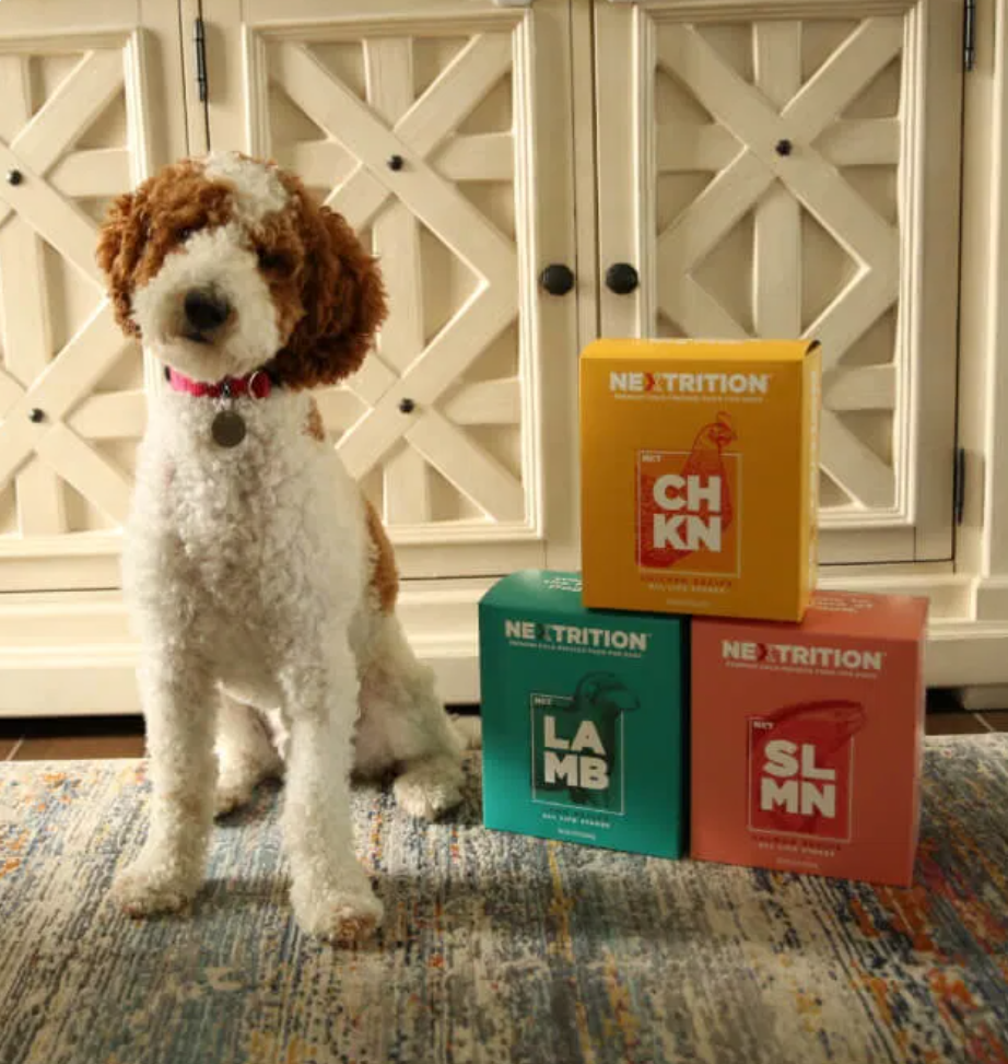 Happy dog with owner and product bag