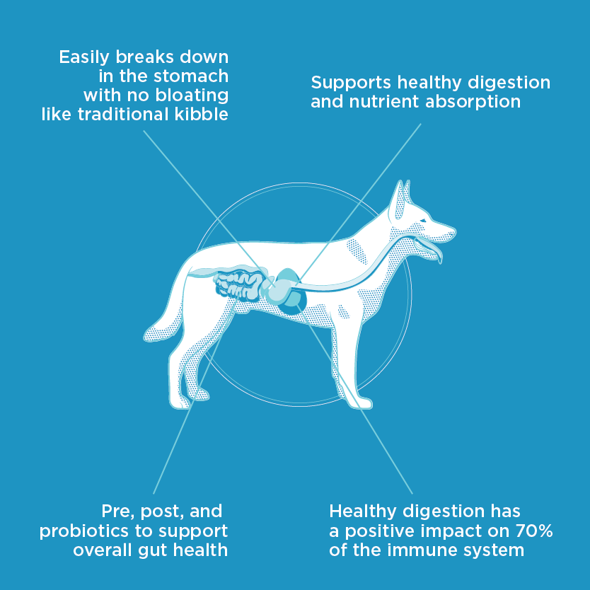 All-Natural Beef Recipe