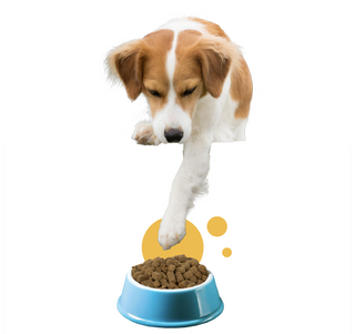 Nextrition Pet