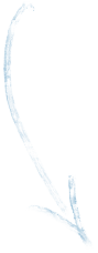 Nextrition Pet
