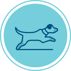 Nextrition Pet