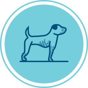 Nextrition Pet
