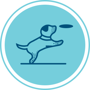 Nextrition Pet