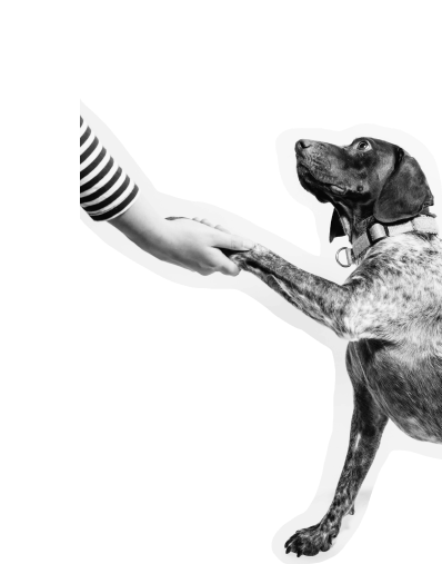 Nextrition Pet