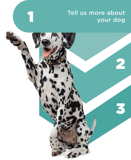 Nextrition Pet