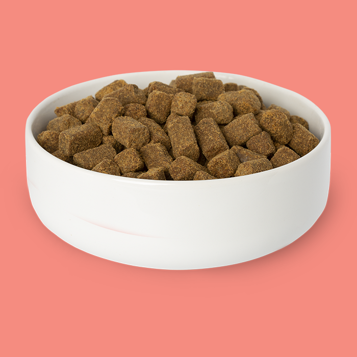 Salmon kibble hot sale