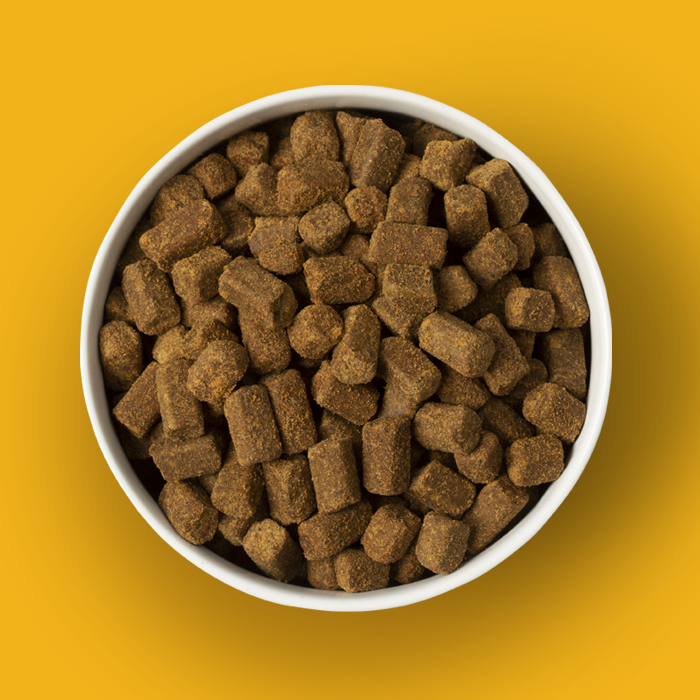 Chicken Recipe Dog Food
