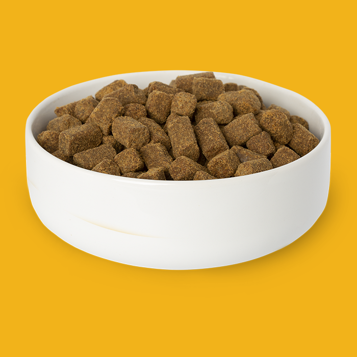 Chicken Recipe Dog Food